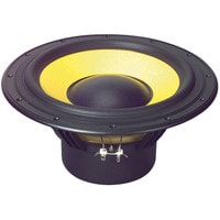 Main product image for HiVi F10 10" Woofer 297-450